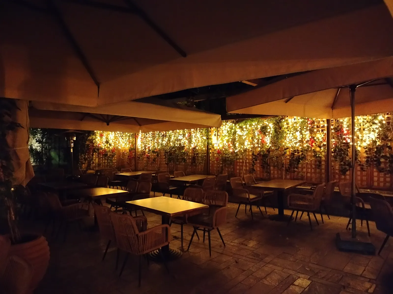 Garden 6